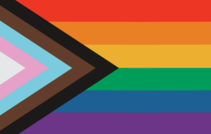Pride/ Trans and people of colour flag